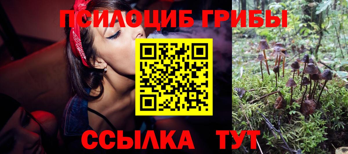 Галлюциногенные грибы Magic Shrooms  Вход с VPN  Карачаевск 