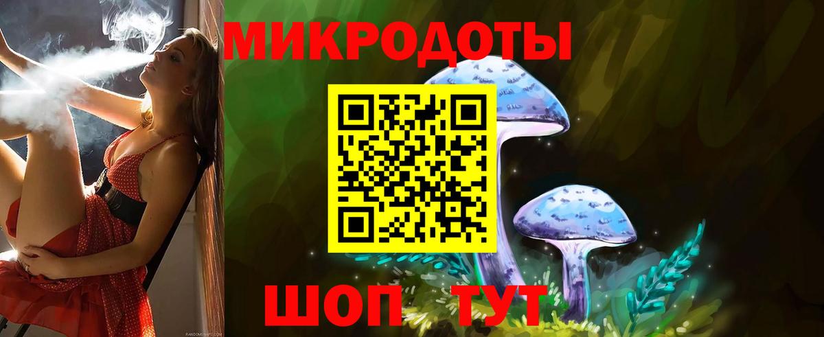 Галлюциногенные грибы GOLDEN TEACHER Карачаевск